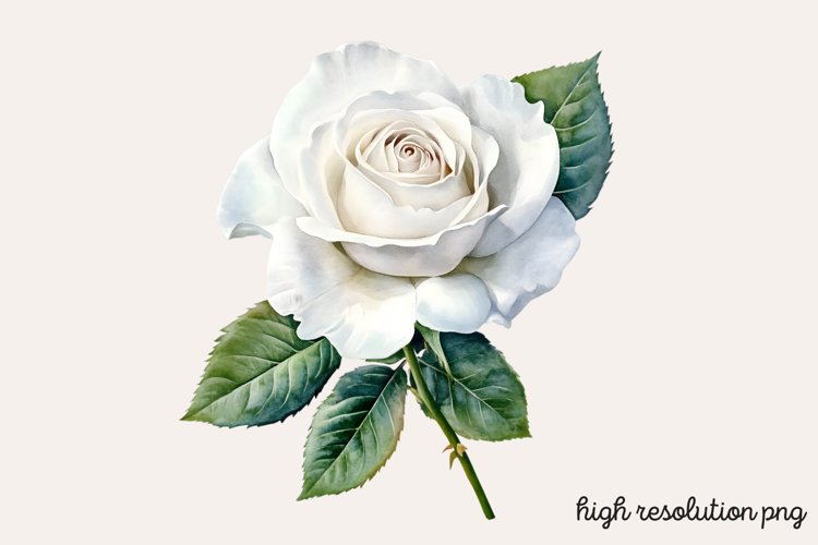 Boho SVG Image 20