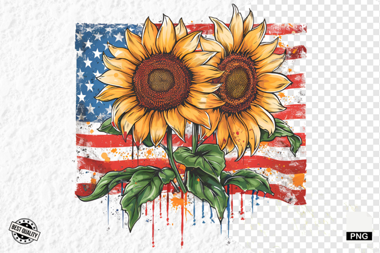 Usa PNG Image 14