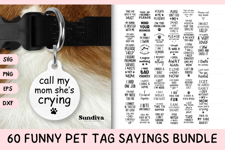 60 Funny Pet Tag Sayings SVG Bundle
