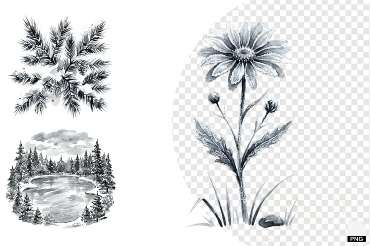 Nature Forrest Meadow Clipart