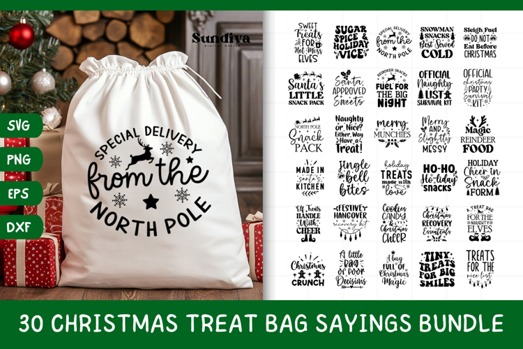30 Christmas Treat Bag Quotes SVG Bundle