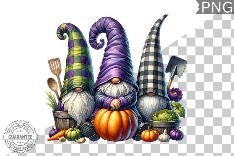 Gnome Clipart Image 18