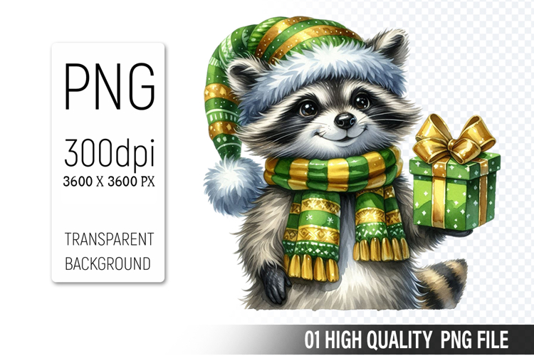 Raccoon Illustration Image 4