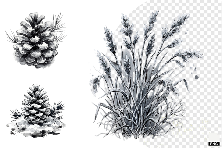 Nature Forrest Meadow Clipart