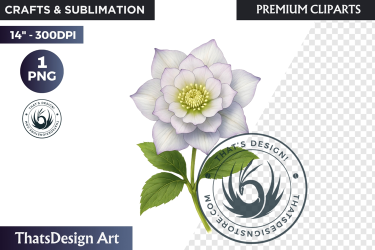 Lavender Png Image 3