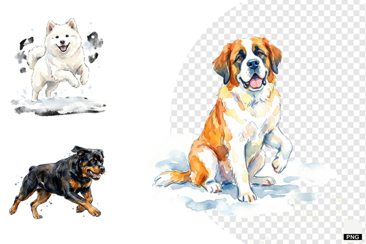 Winter Dog Playing PNG