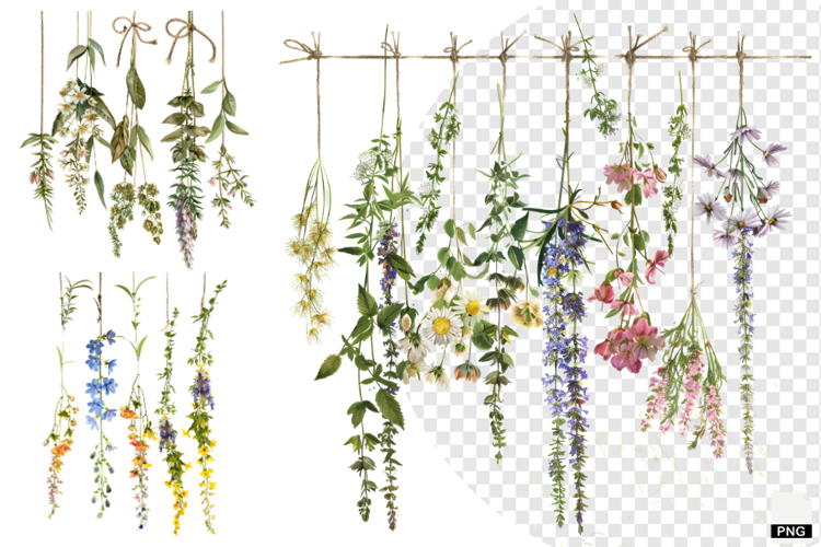 Rustic Hanging Wildflower String Clipart