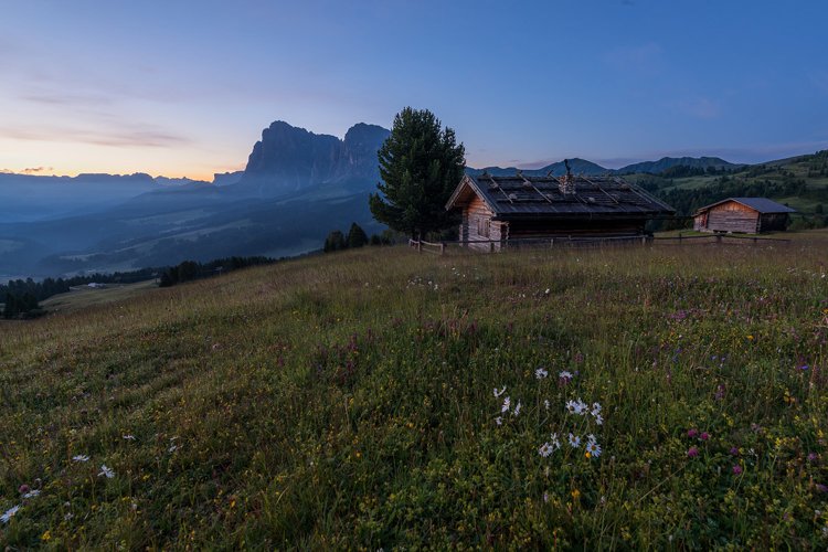 Beautiful flowers and cottages at Alpe di Siusi at sundown example image 1