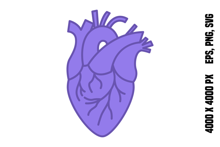 Anatomy Clipart Image 15