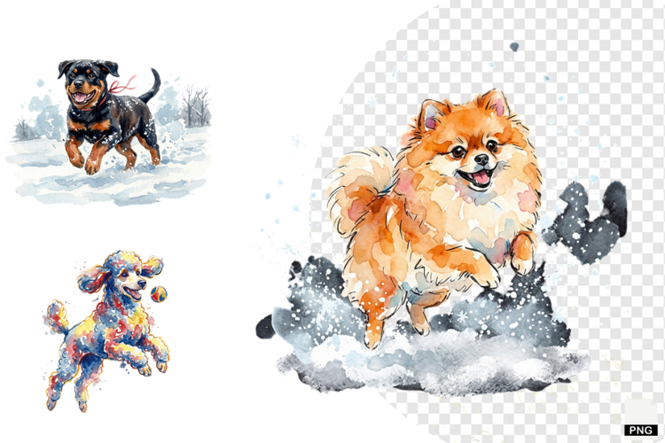 Winter Dog Playing PNG