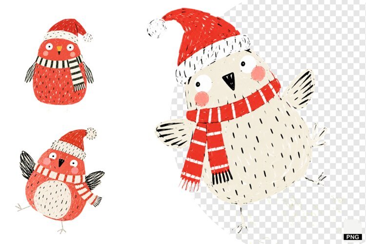 Quirky Christmas Birds PNGs example image 1