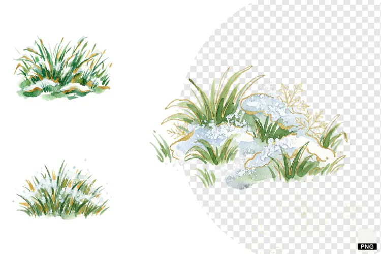 Winter Snowy Grass Clipart