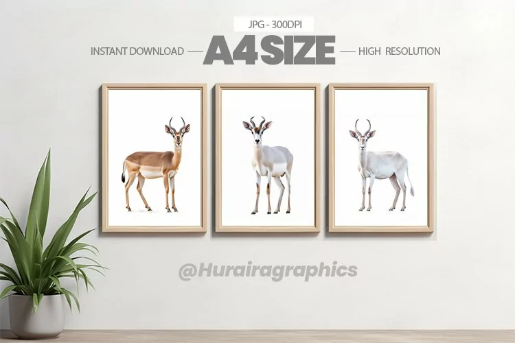 Animal Wall Art - 03 Variations
