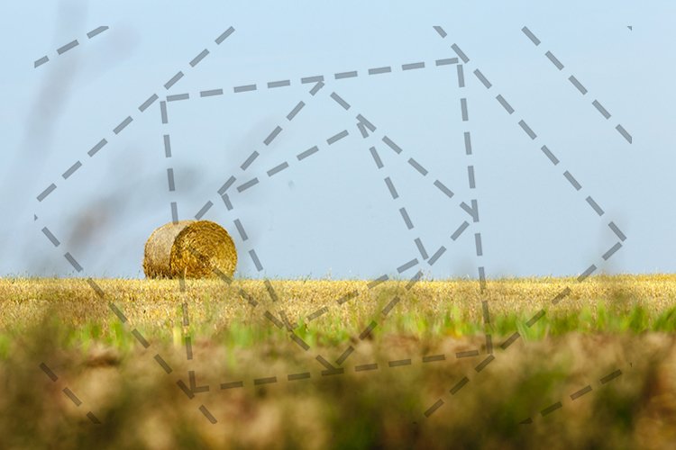 Wheat Clipart Image 10