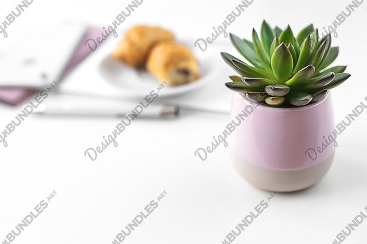Feminine Styled Stock Photo, Feminine Styled Desktop Mockup