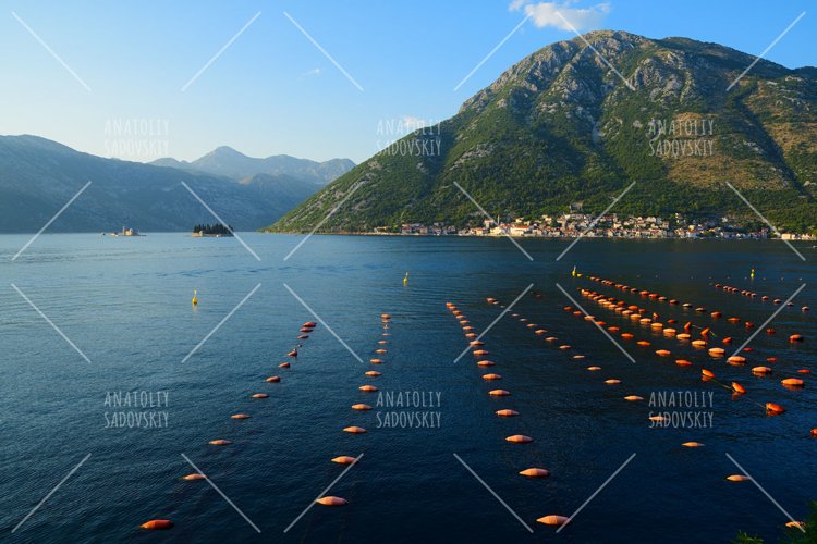 Mussel farm in Bay of Kotor near town Perast, Montenegro example image 1