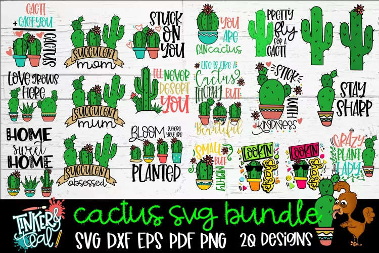 Cactus SVG Bundle - Free Design of The Week