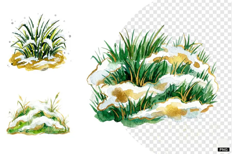 Winter Snowy Grass Clipart