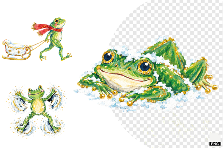 Winter Snowy Frogs PNG