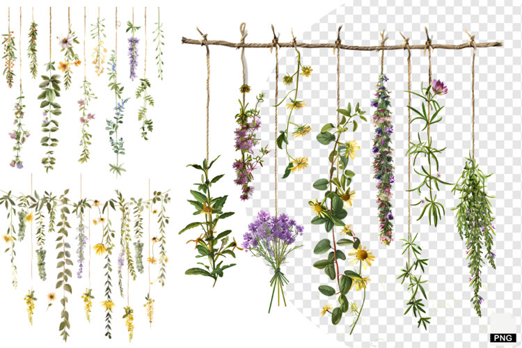 Rustic Hanging Wildflower String Clipart example image 1