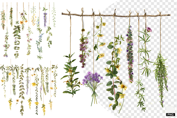 Rustic Hanging Wildflower String Clipart