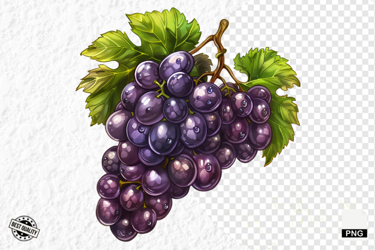 Grape Vine Clipart Image 17