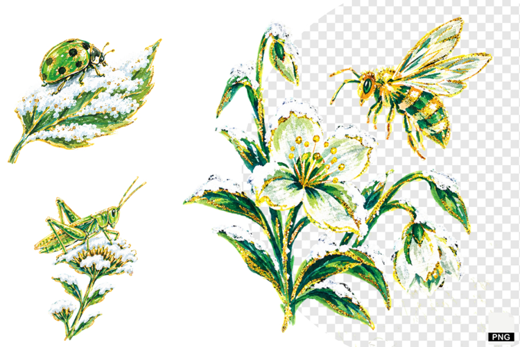 Winter Insect Garden Clipart