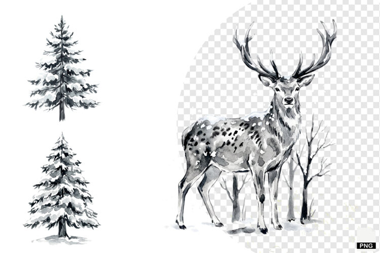 Nature Forrest Meadow Clipart example image 1