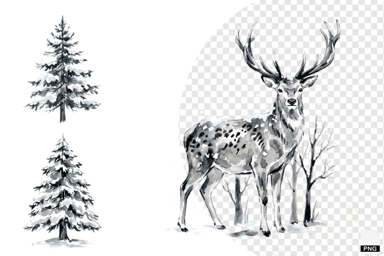 Nature Forrest Meadow Clipart