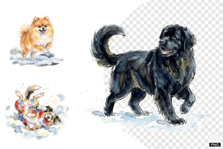 Winter Dog Playing PNG