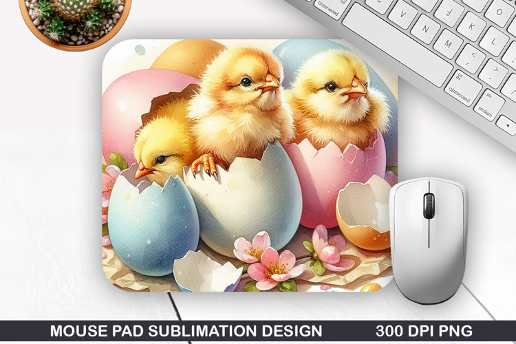 Chicks Png Image 22