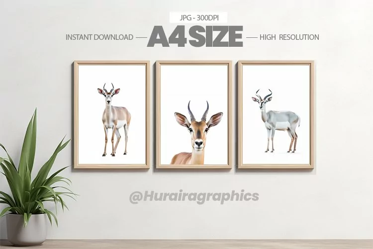 Animal Wall Art - 03 Variations