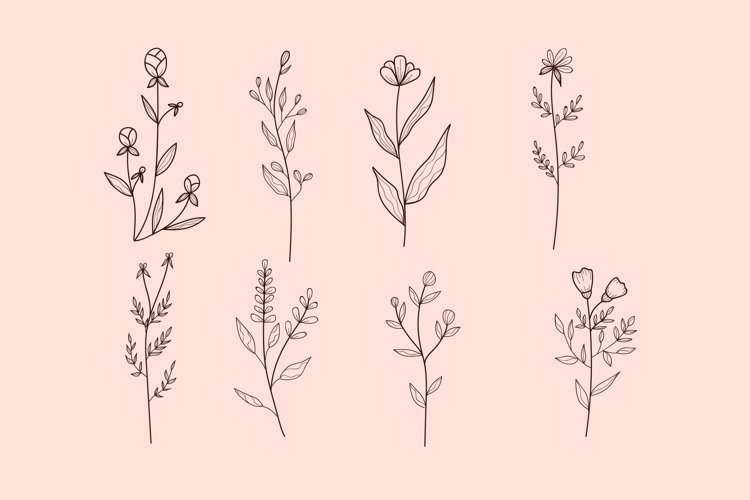 Hand-Draw With Herb And Flowers Collection