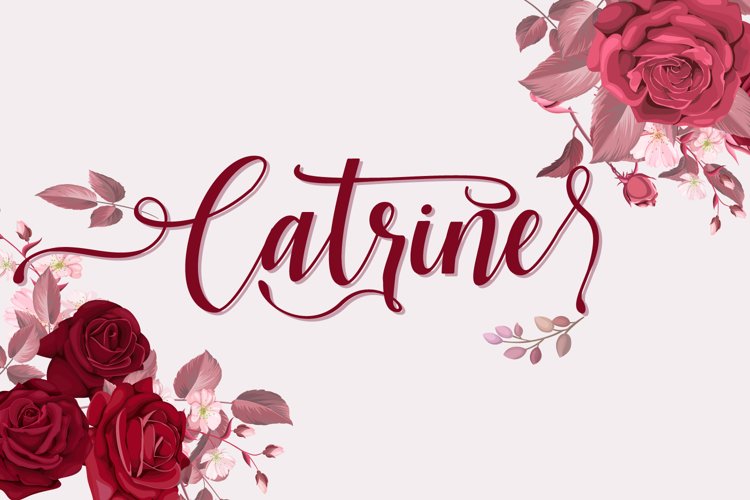 Catrine example image 1