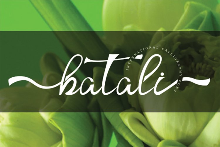 batali example image 1