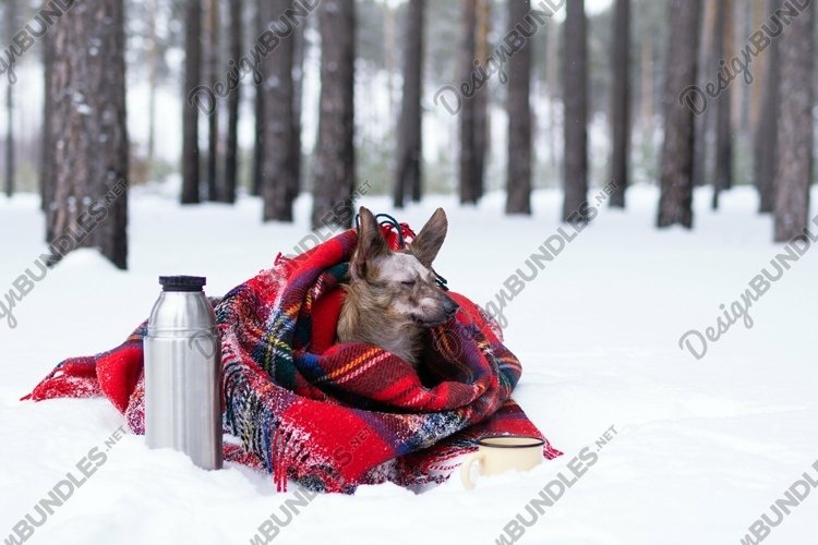 Winter Clipart Image 21