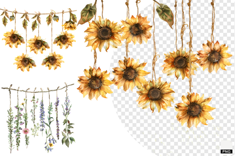 Rustic Hanging Wildflower String Clipart