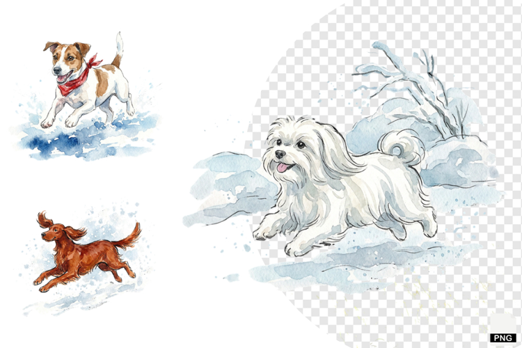 Winter Dog Playing PNG