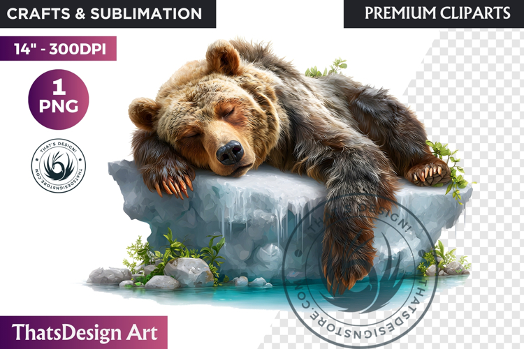 Bear Watercolor Arctic Winter Animal Clipart Wildlife PNG