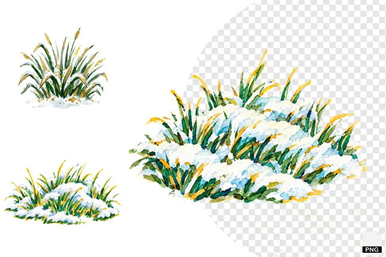 Winter Snowy Grass Clipart