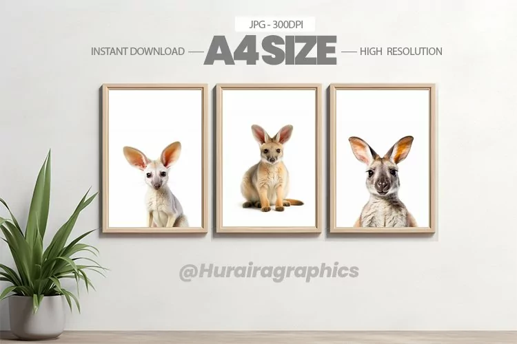 Animal Wall Art - 03 Variations