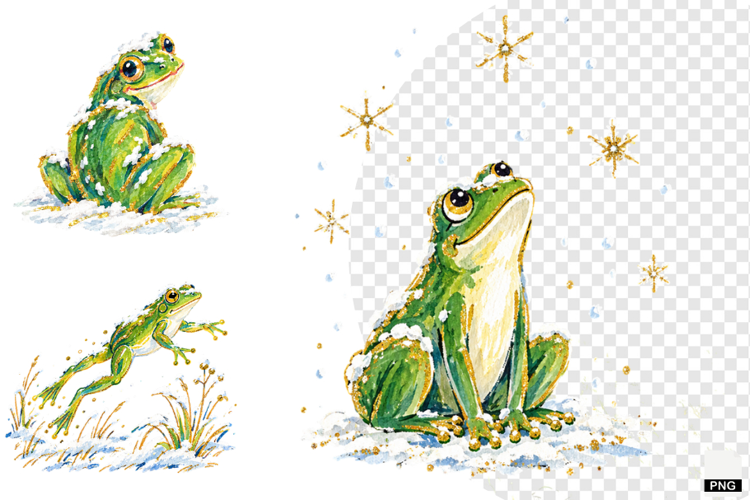 Winter Snowy Frogs PNG