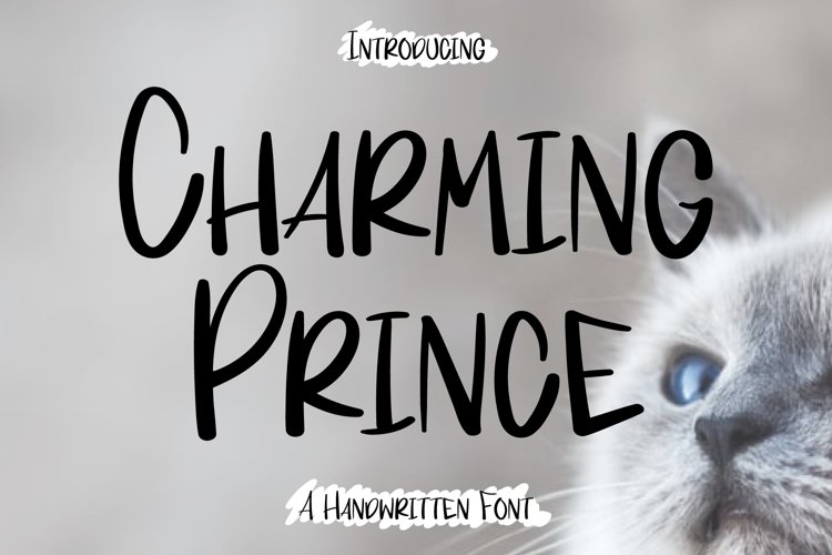 Charming Prince example image 1