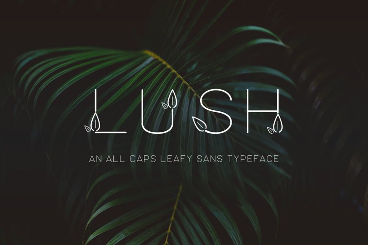Lush Sans Typeface example image 1