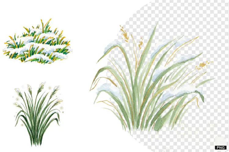 Winter Snowy Grass Clipart