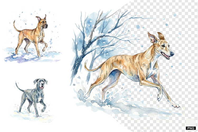 Winter Dog Playing PNG