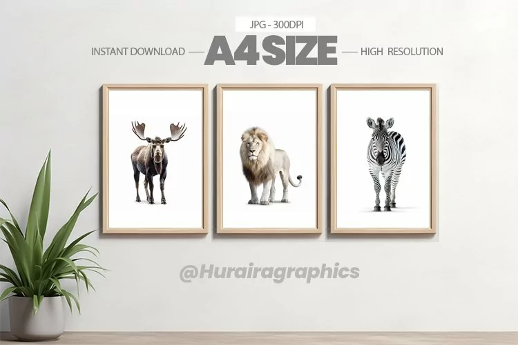 Animal Wall Art - 03 Variations