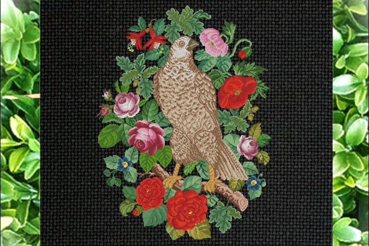 Falcon Clipart Image 2