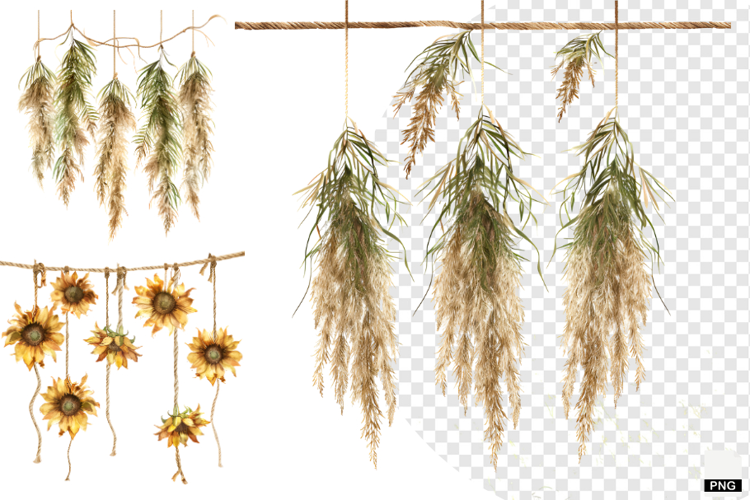 Rustic Hanging Wildflower String Clipart
