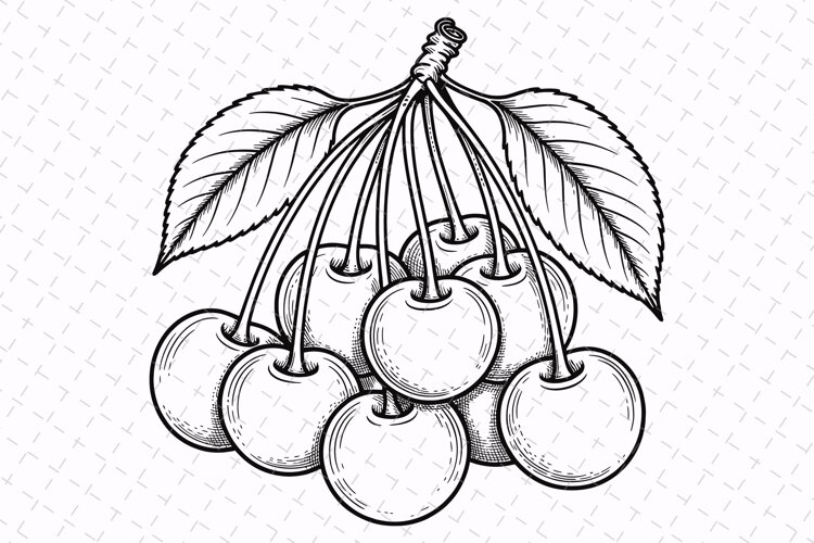 Cherry Coloring Pages for Kids | Fun & Kid-Friendly example image 1